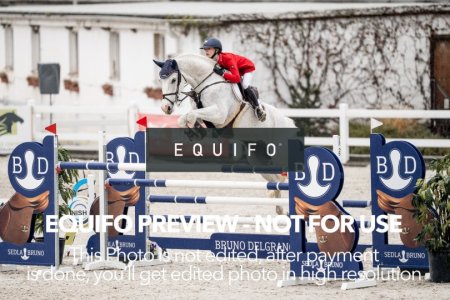 CSIO_Zduchovice_2025_FR_YR_NATIONS_CUP-0081.jpg