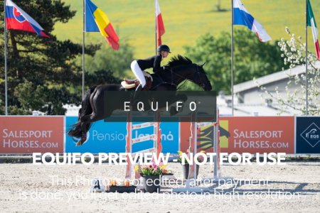CSIO_Zduchovice_2025_SUNDAY_J_GP-0135.jpg