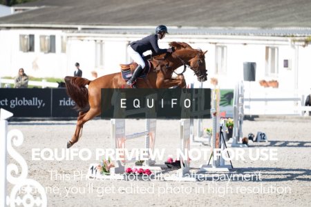 CSIO_Zduchovice_2025_SUNDAY_J_GP-0143.jpg