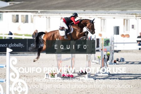 CSIO_Zduchovice_2025_SUNDAY_J_GP-0149.jpg