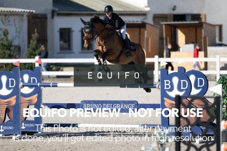 CSIO_Zduchovice_2025_SUNDAY_J_GP-0152.jpg