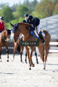 CSIO_Zduchovice_2025_SUNDAY_J_GP-0181.jpg