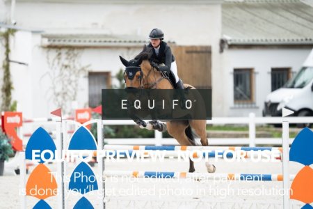 CSIO_Zduchovice_2025_THU_YR_135-0066.jpg
