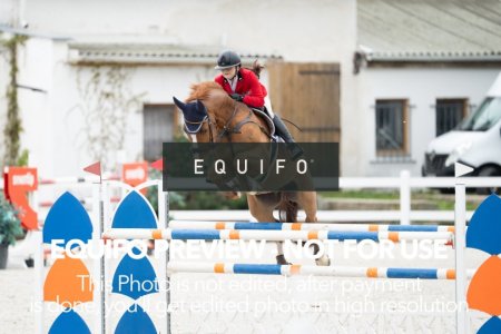 CSIO_Zduchovice_2025_THU_YR_135-0072.jpg