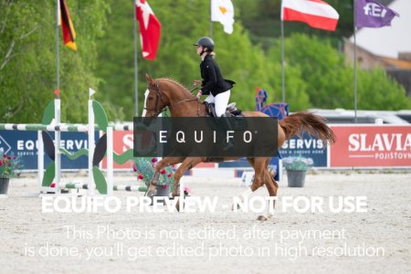CSIO_Zduchovice_2025_Wed_J_135-0060.jpg