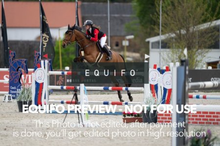 CSIO_Zduchovice_2025_Wed_J_135-0198.jpg