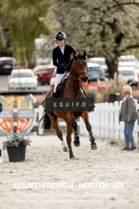 CSIO_Zduchovice_2025_Wed_J_135-0349.jpg