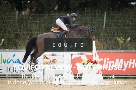 Sunshine_Week_5_Thursday_Medium_130_0212.jpg