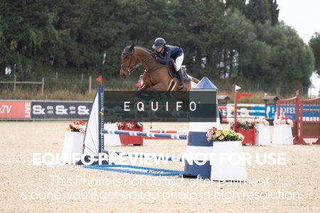 Sunshine_Week_5_Thursday_Medium_130_0254.jpg